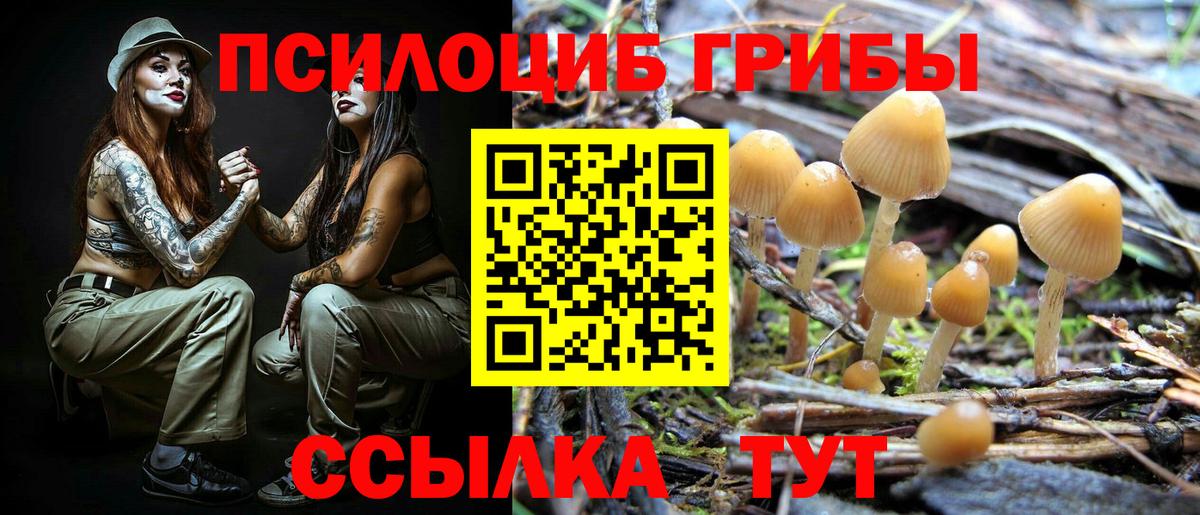 Псилоцибиновые грибы GOLDEN TEACHER  Галлюциногенные грибы ЛСД  Вход с VPN  Строитель 