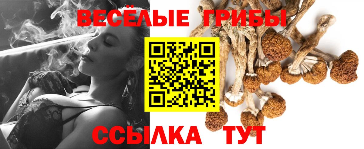 Псилоцибиновые грибы мицелий Строитель